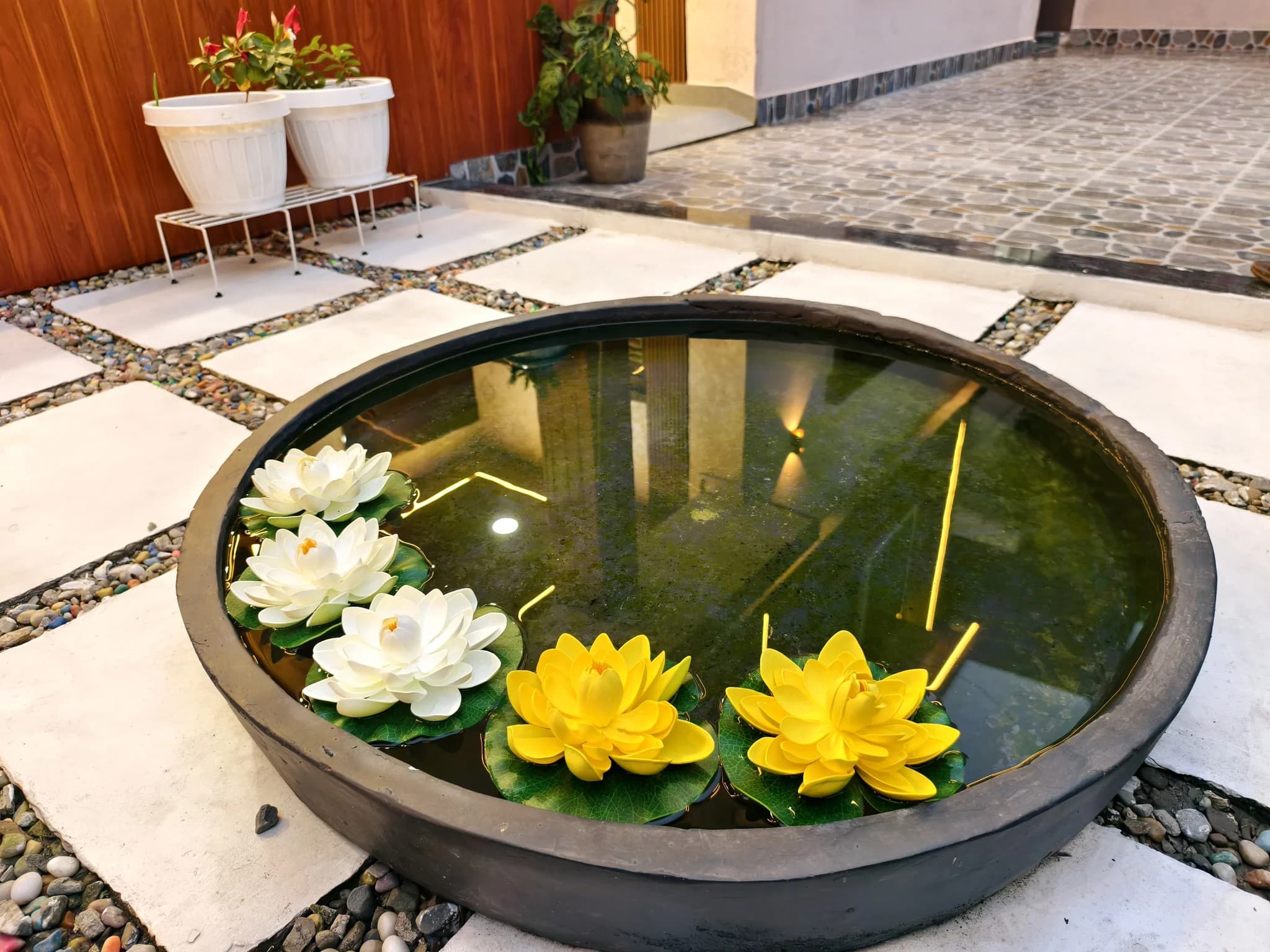 Lotus bowl in the zen garden